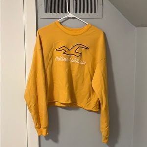 Yellow, cropped sweatshirt, hollister, size medium